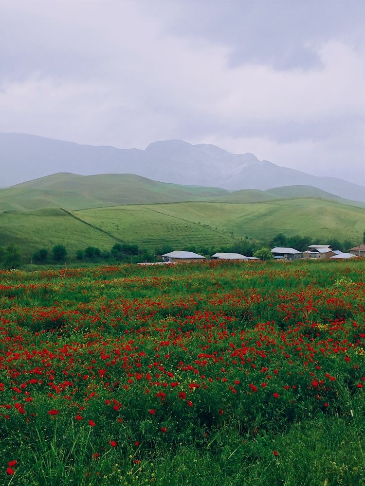 Photograph by Антонина Татаурова