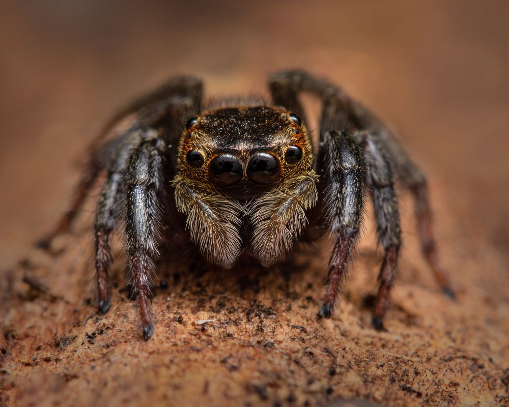 Photograph by Valdir Hobus