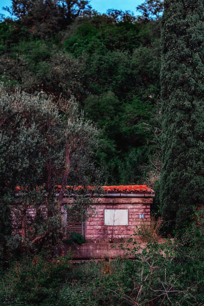 Photograph by Lana Soldatova