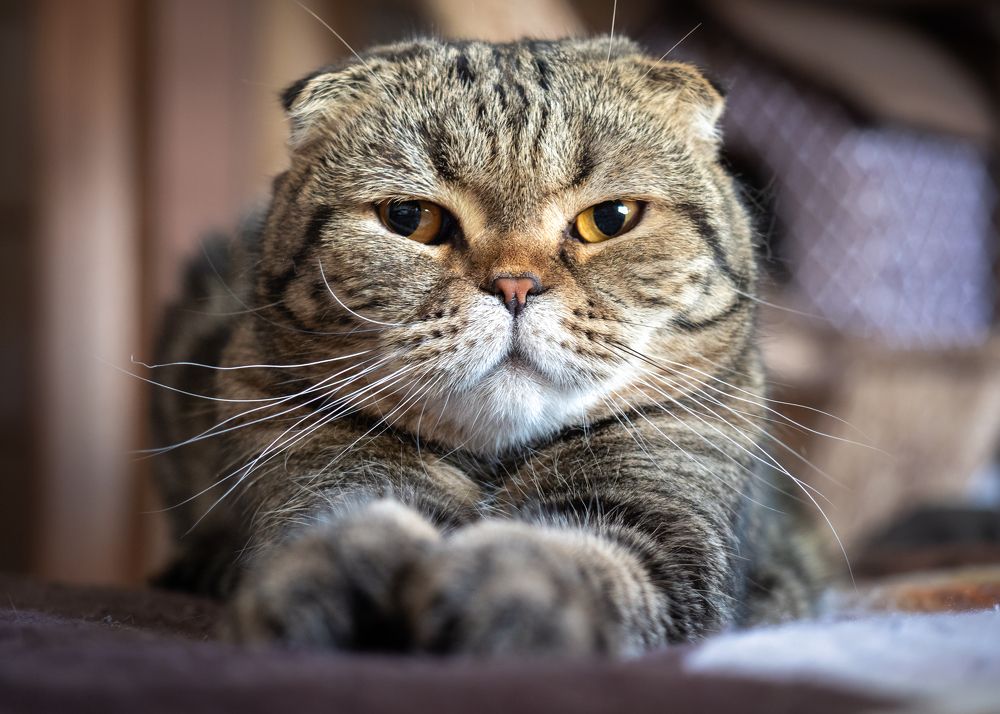 Photograph by Андрей Стрельников