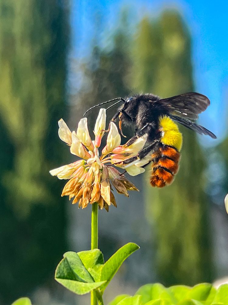 Photograph by Ibrahim Qureshi