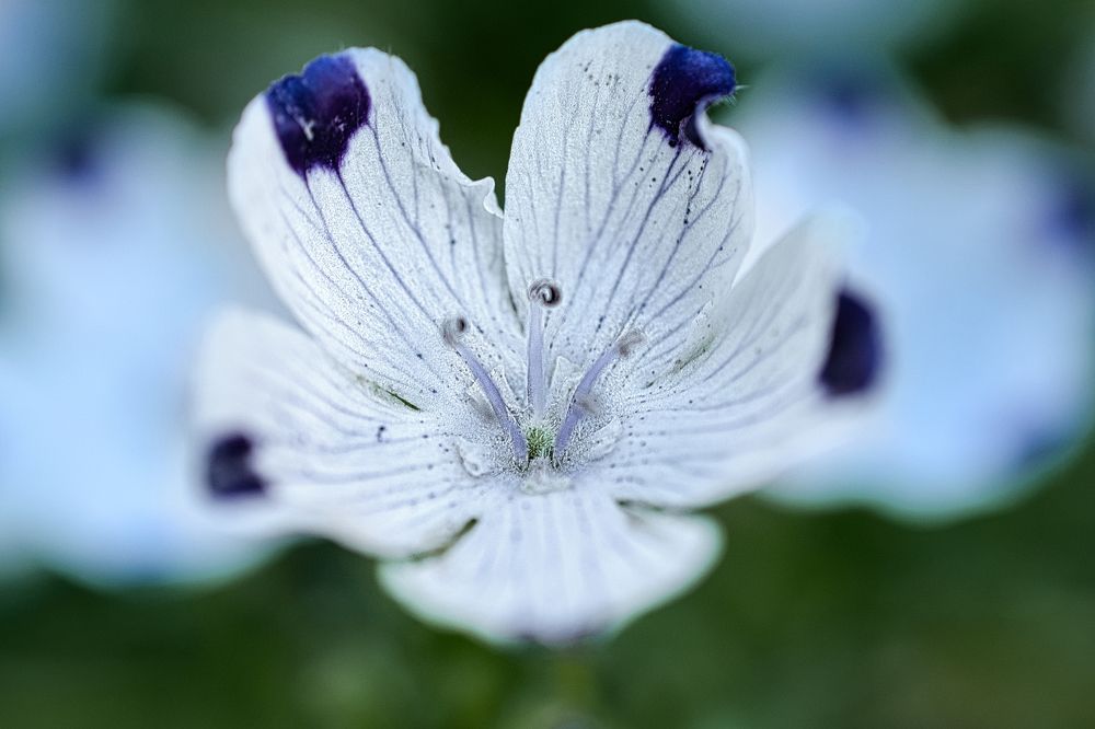 Photograph by hiro