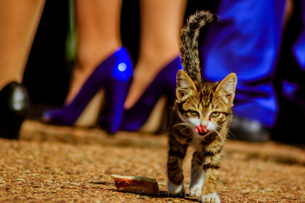 Photograph by бахмутова наталья