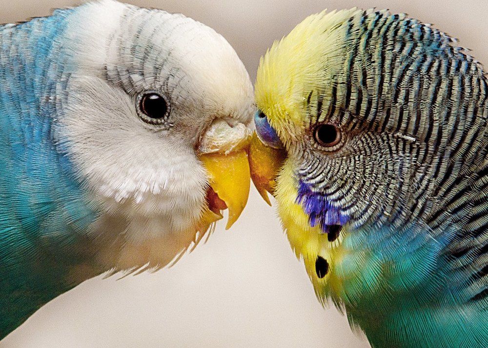 Photograph by Стельян