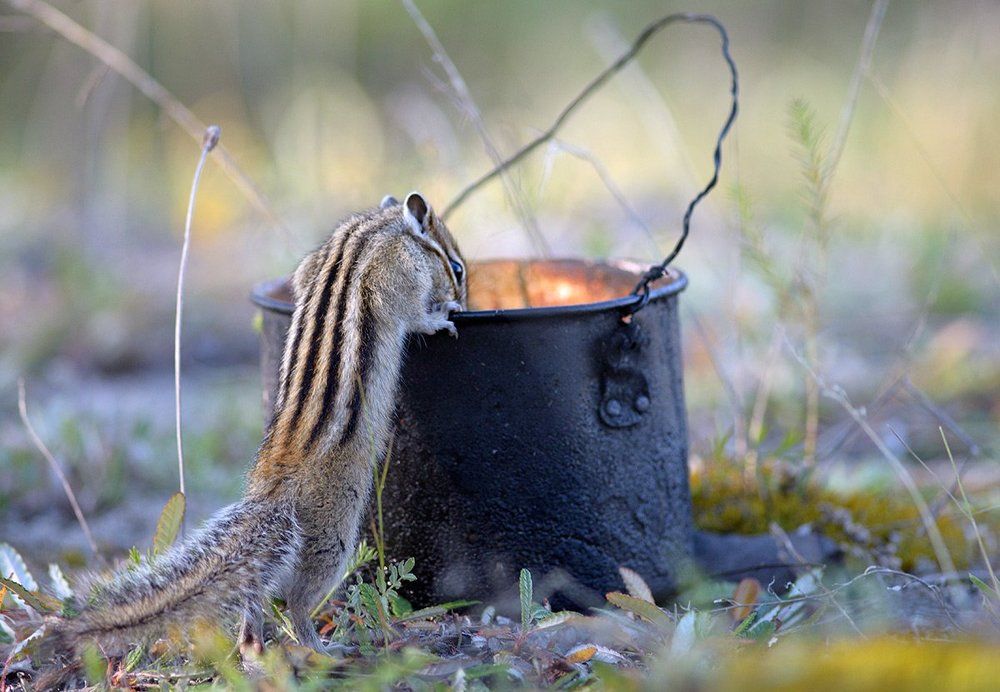 Что у вас на завтрак?