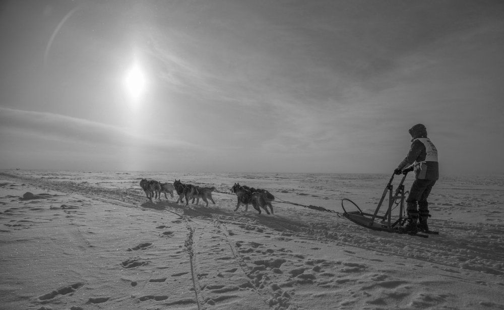 Бегущие в даль.