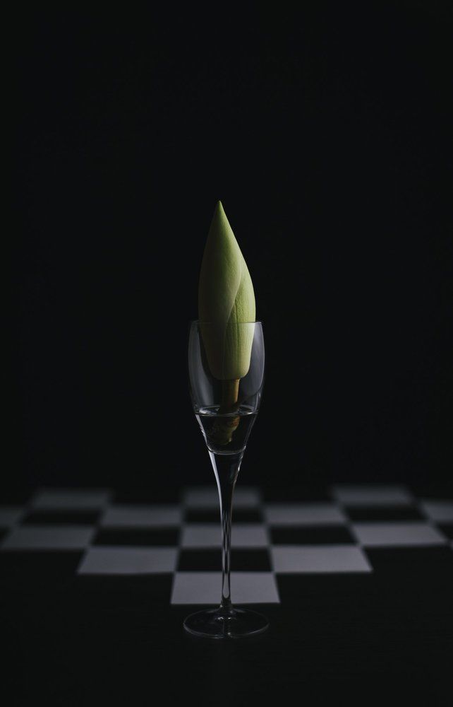 Photograph by Лина