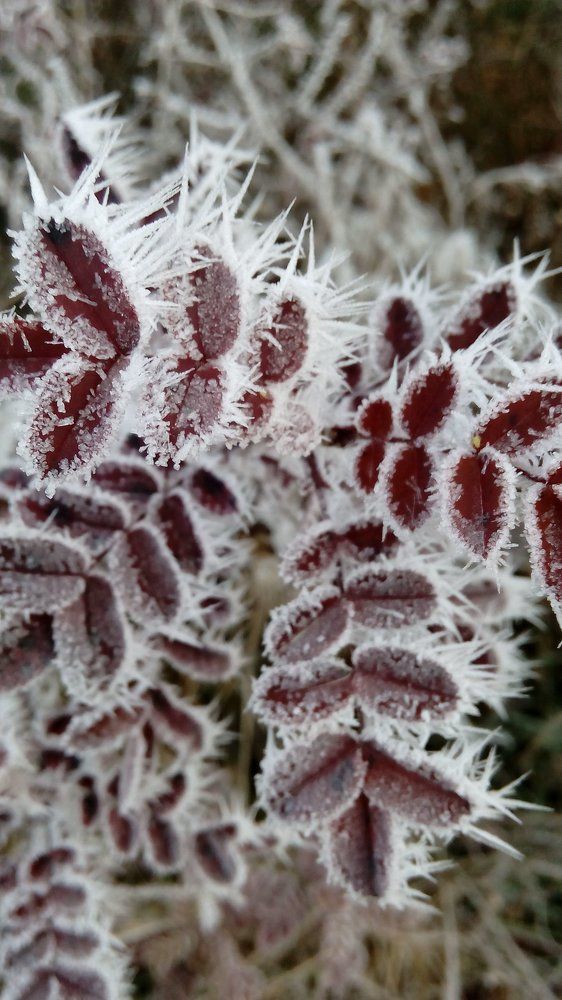 Красота в мелочах