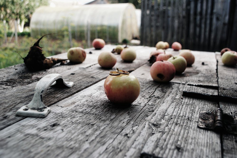 Любовь и яблоки
