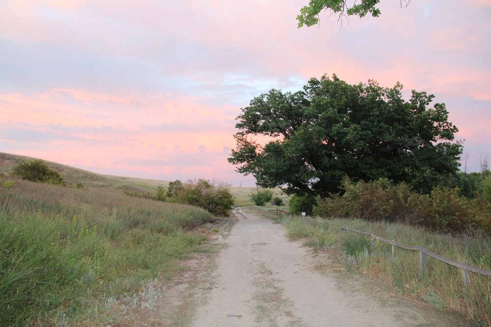 Photograph by Ирина