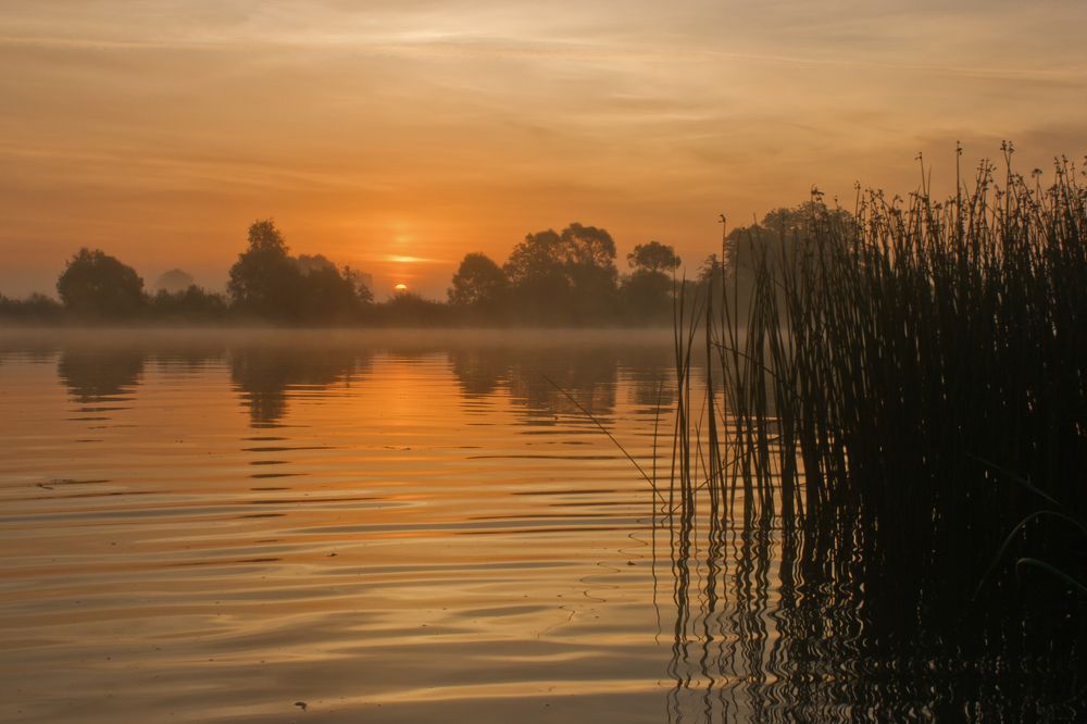 Утренняя тишина