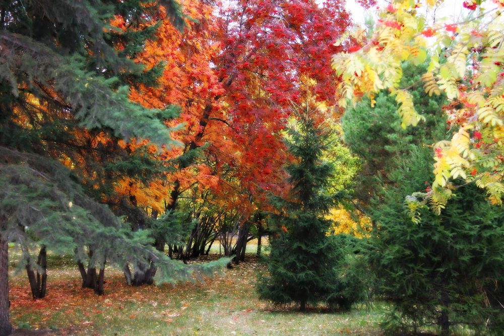 Осенняя палитра