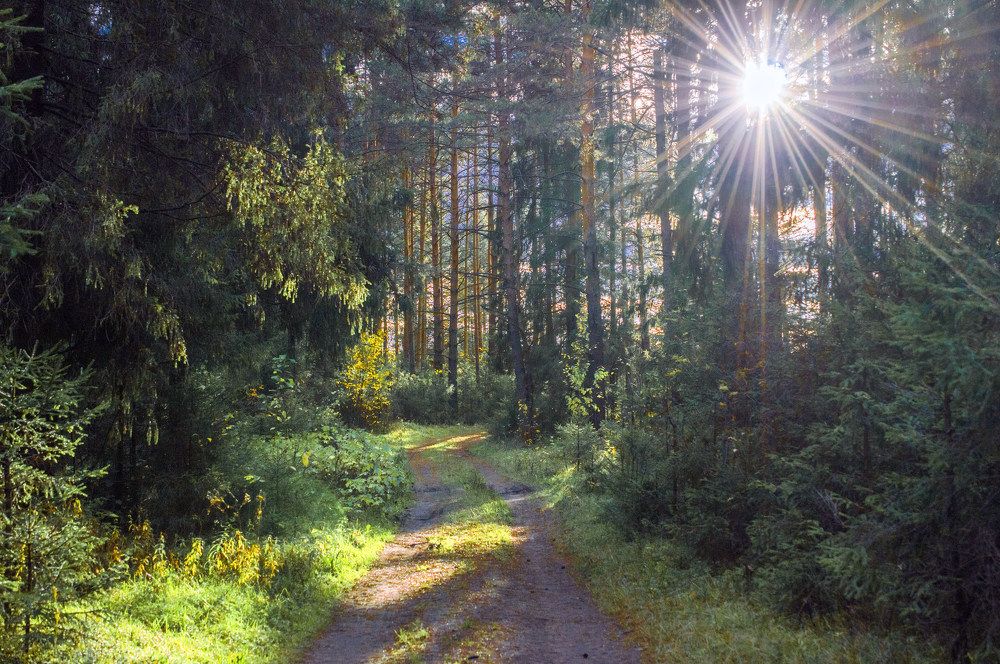 лучики-лучи