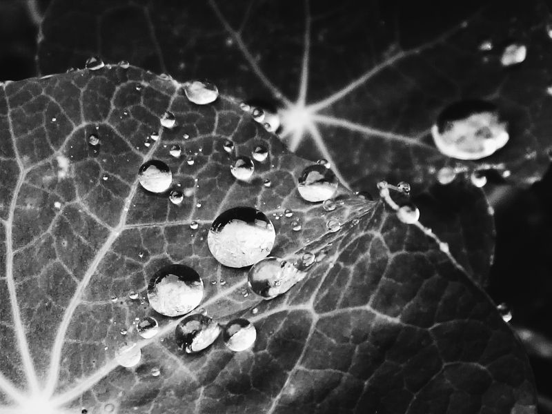 Наталия, Ukraine