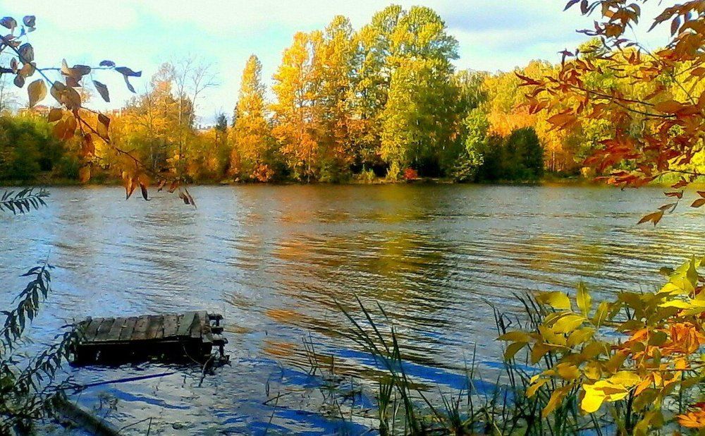 Река Пехорка.