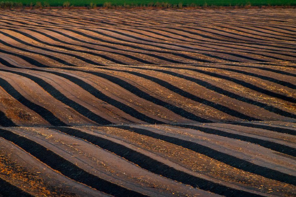 Photograph by Виген Аветисян