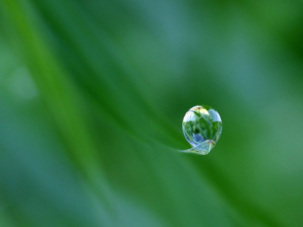 Планета Маленького принца