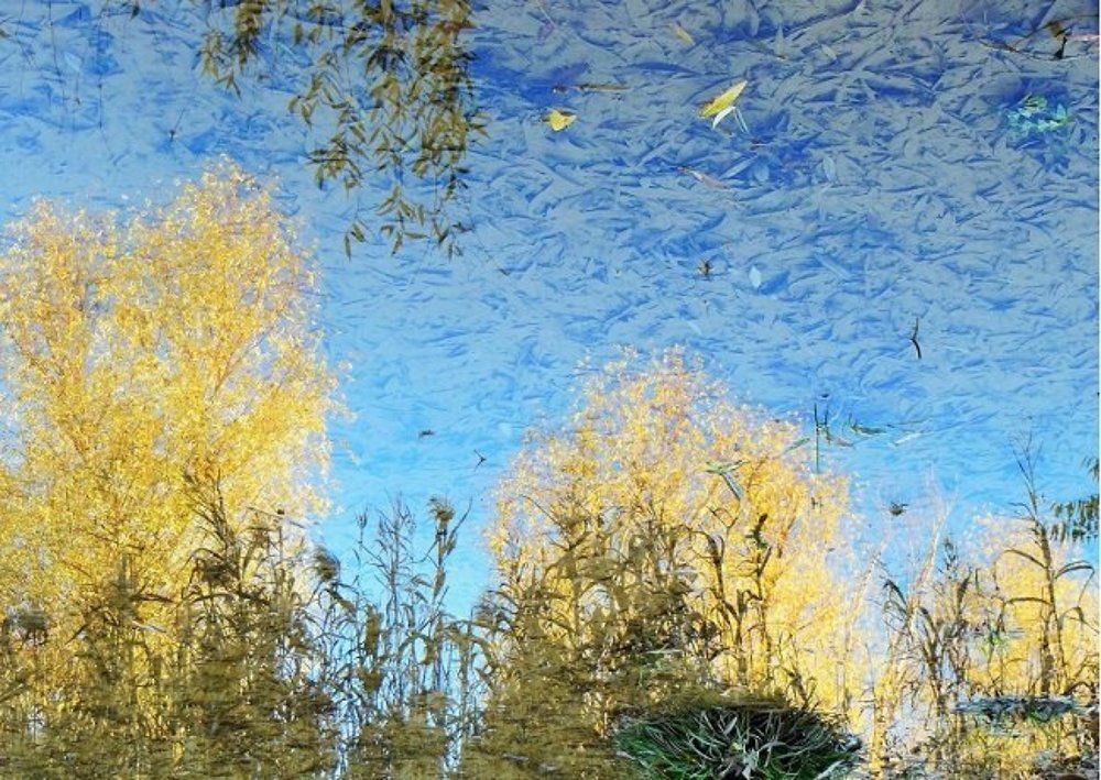 Photograph by Александр Мист