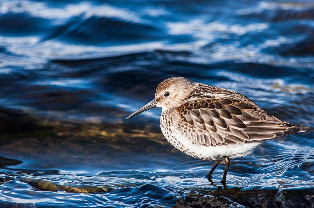 Водные процедуры