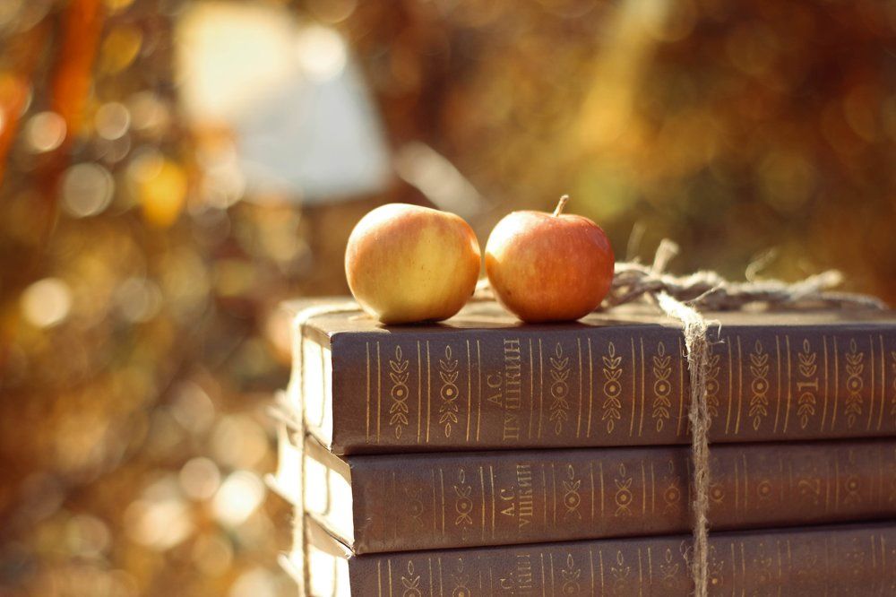 Приятна мне твоя прощальная краса