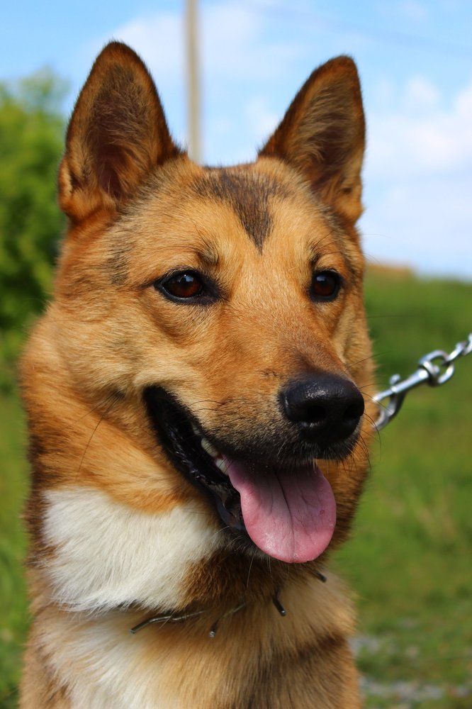 Photograph by Ульяна Парфёнова