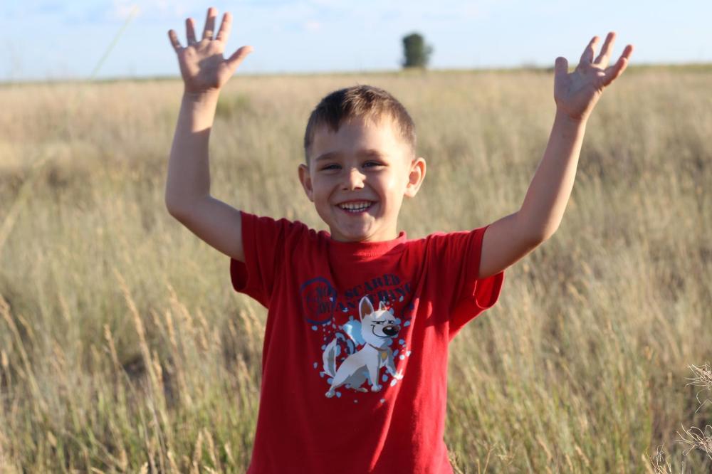 Жизнь прекрасна