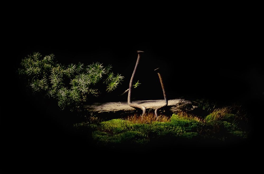 Романтическая