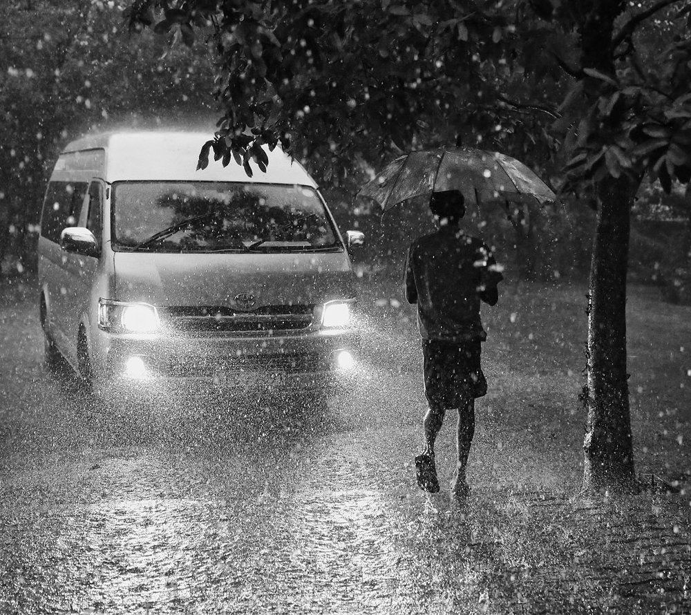 Просто летний дождь