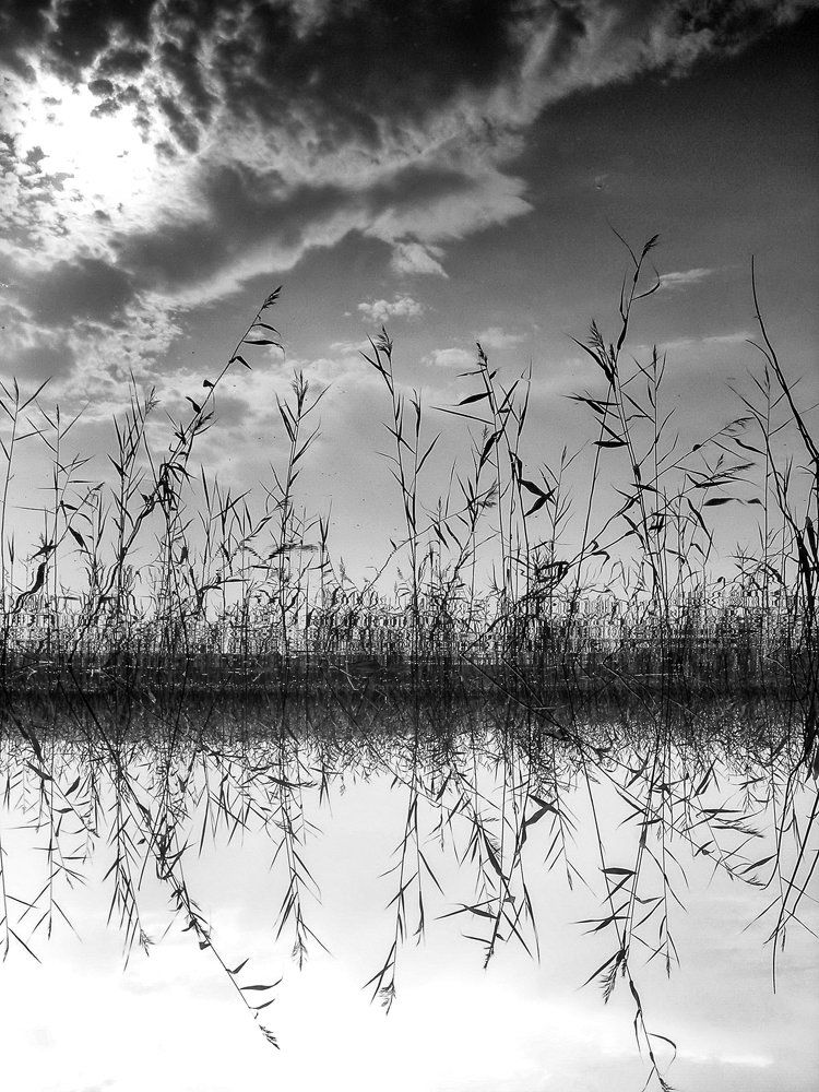 толи небо в озёра упало, толи озеро в небе плывет