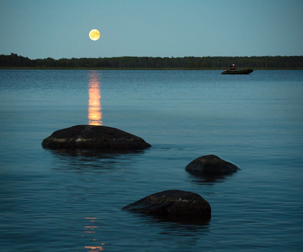 На вечернюю зорьку