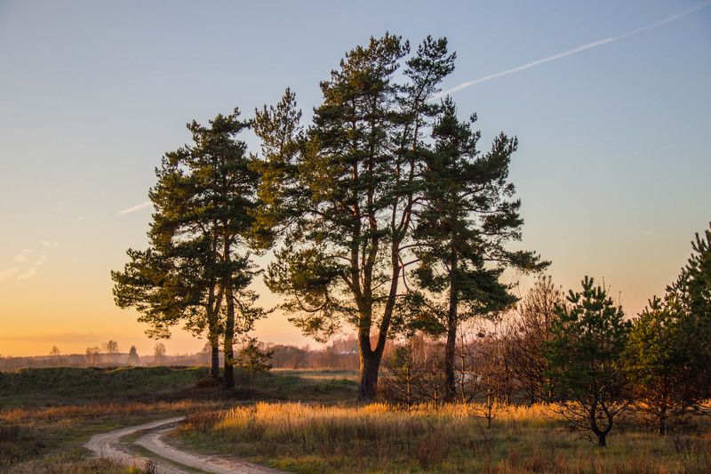 Андрей, Russia