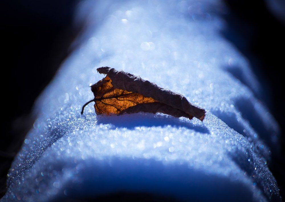 Осень. Зима. Встреча.