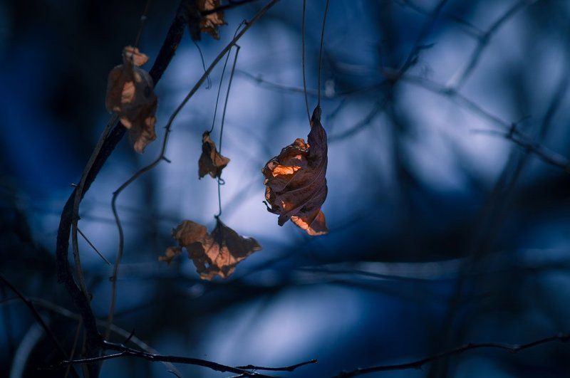 Andrey Aboltin, Russia