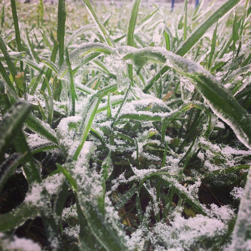 Хрустальный мир