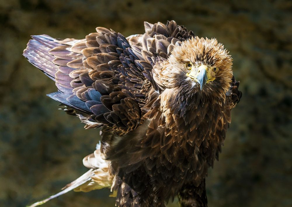 Одиночество