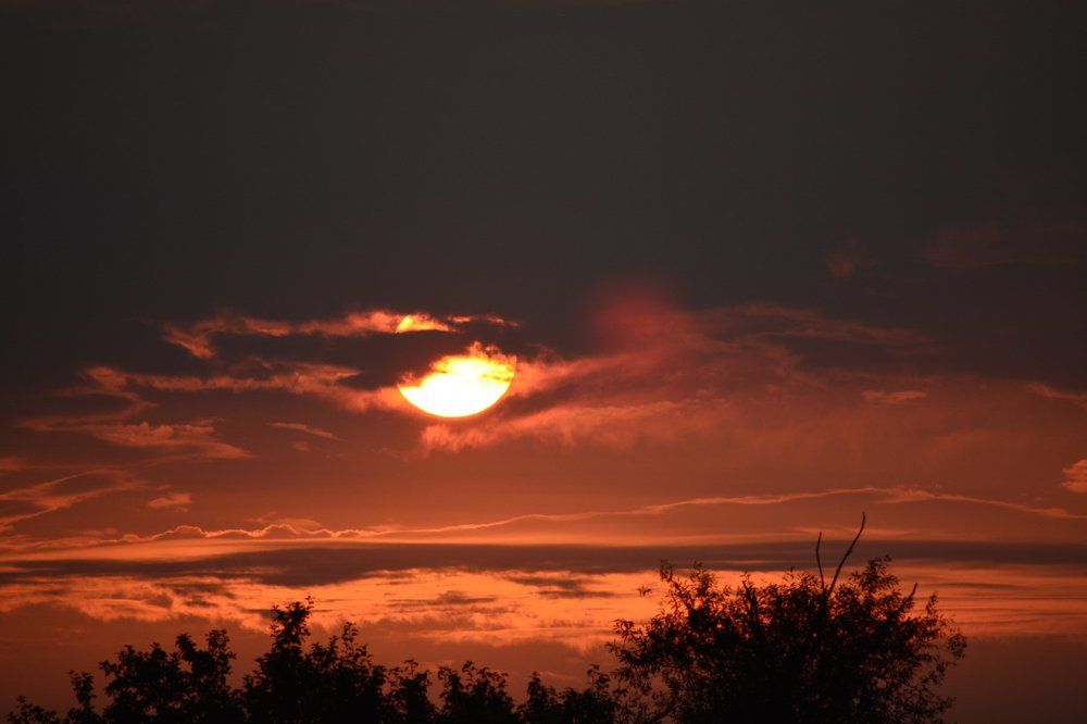 Photograph by Василий