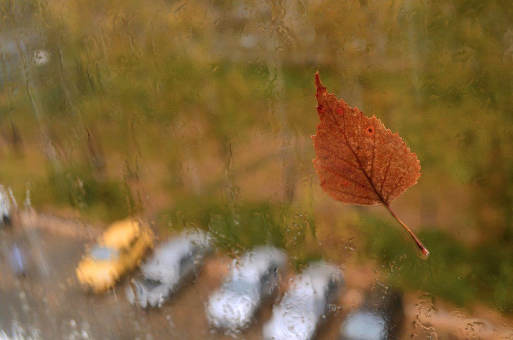 Осеннее настроение