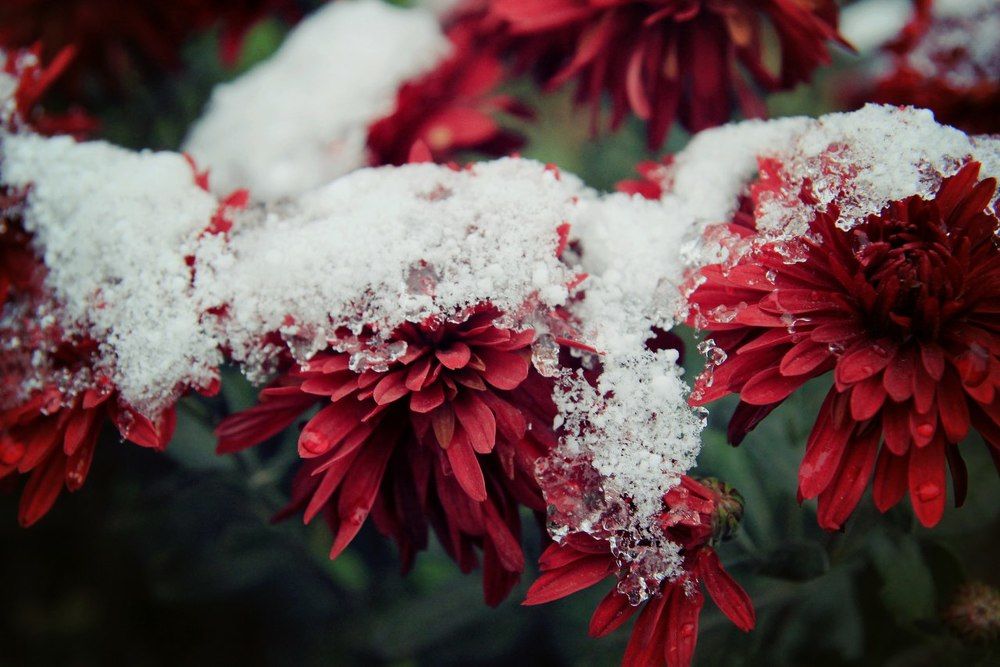 Photograph by Людмила