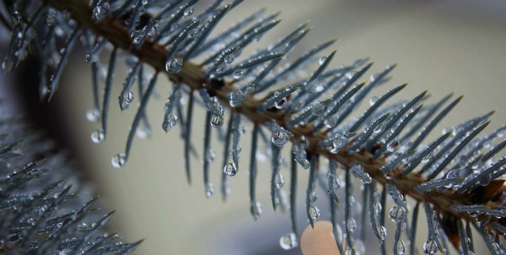 Photograph by Людмила