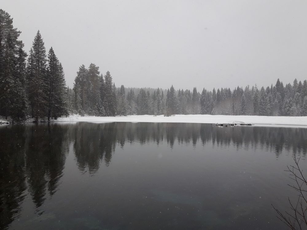 Photo #10600016