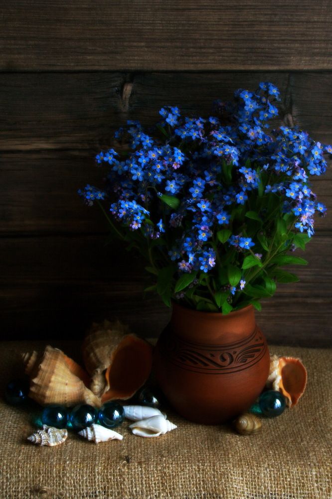 Photograph by Yroslava Veretina