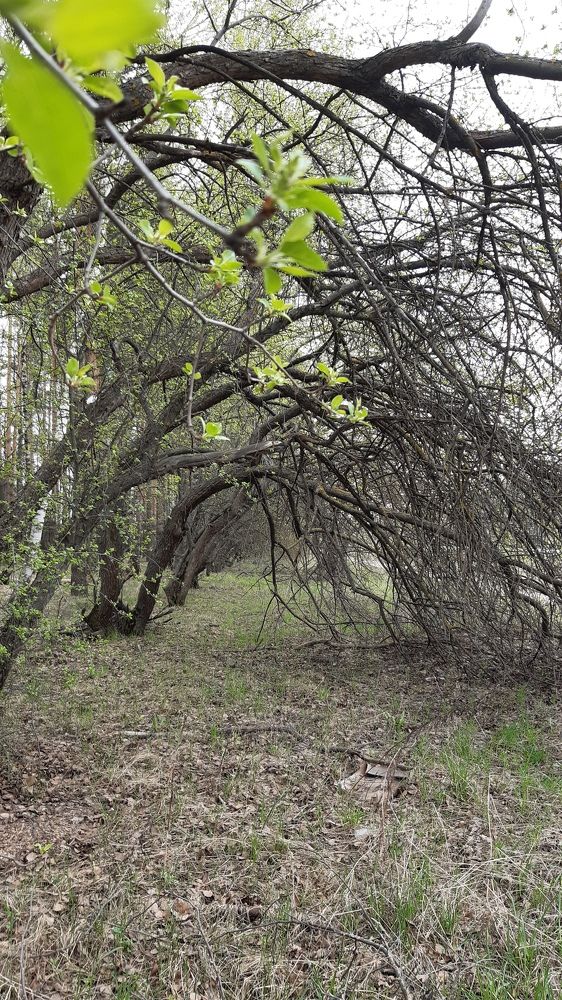 Photograph by Екатерина