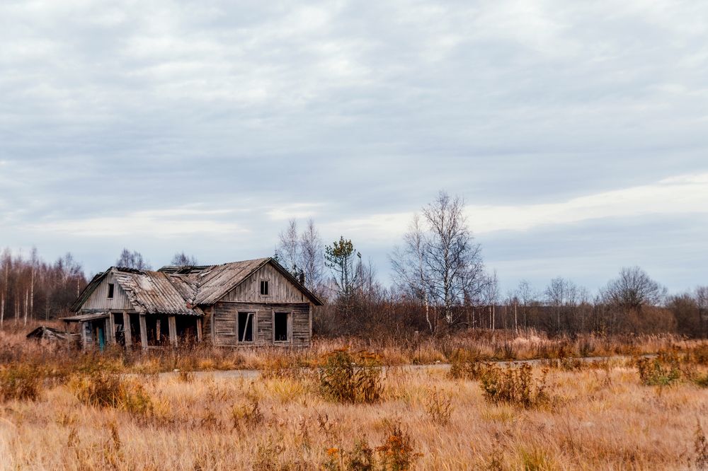Photograph by Елена Ефимова