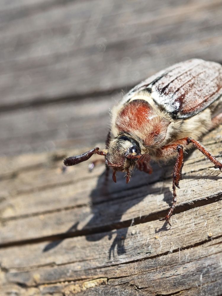 Photograph by Надежда Кангина
