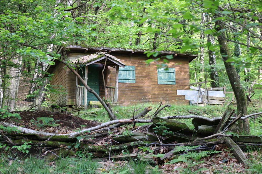 Photograph by Sonia Crotta