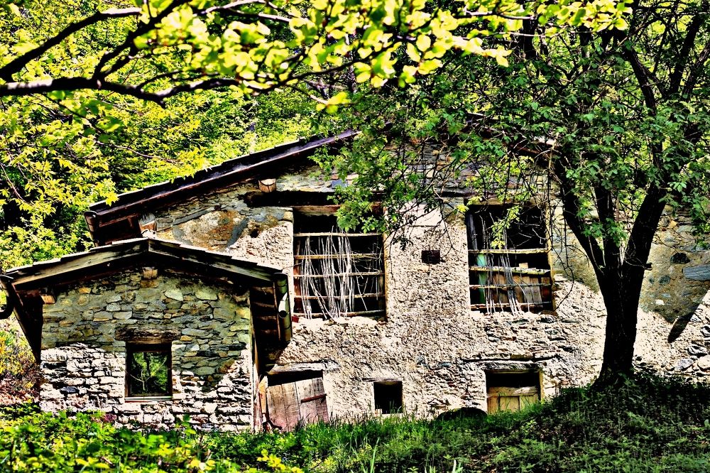 Photograph by Sonia Crotta