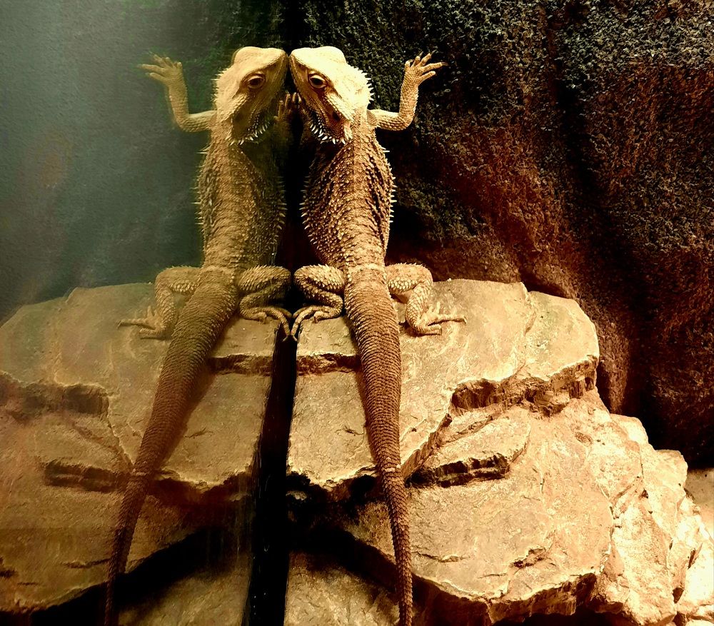 Photograph by Sonia Crotta