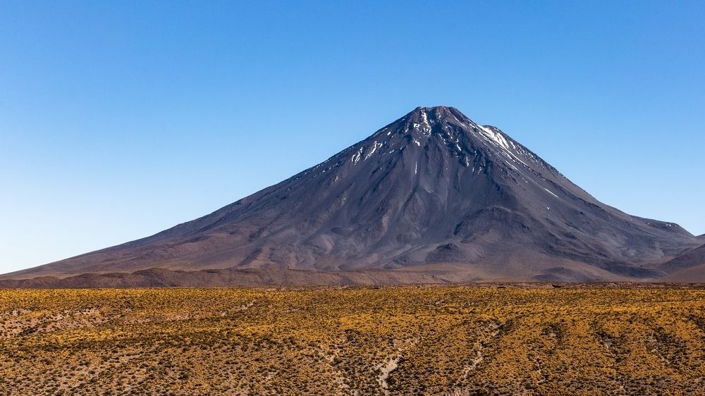 Фотография автора Carlos Gianoli
