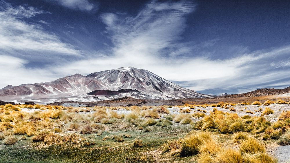 Фотография автора Carlos Gianoli