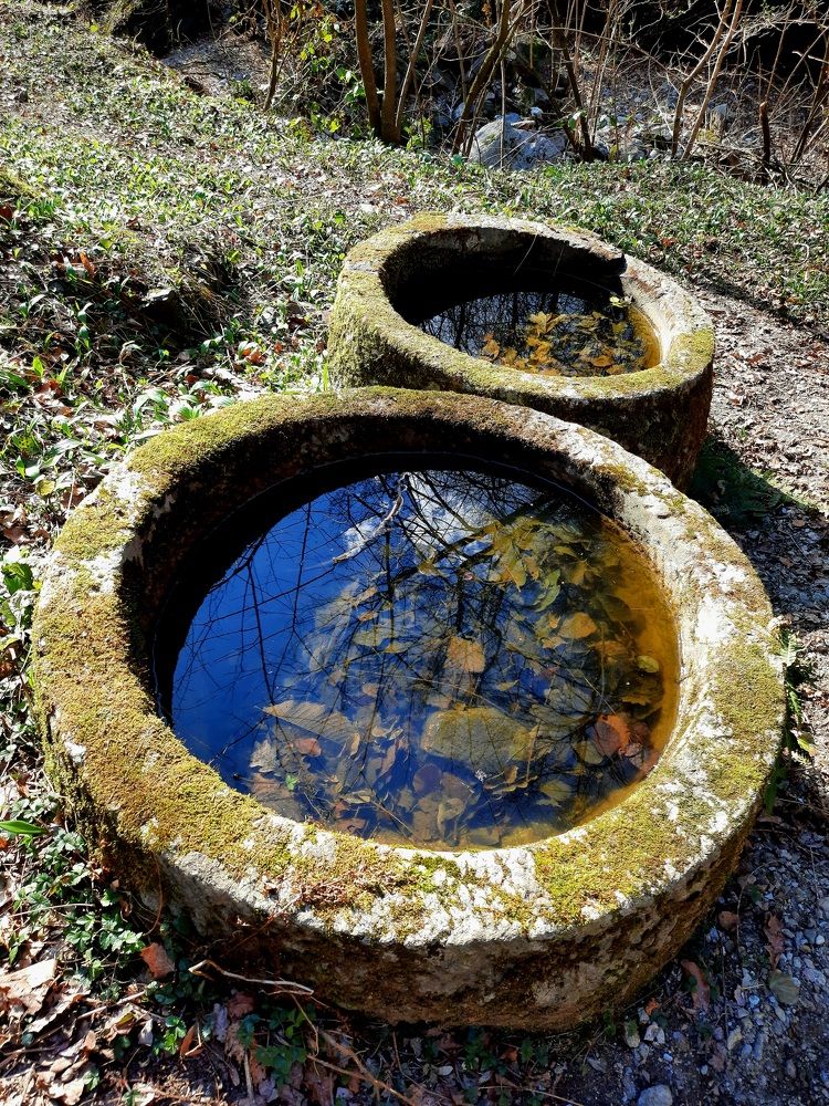 Photograph by Sonia Crotta